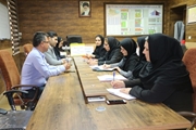برگزاری کمیته هفته ملی دیابت درشهرستان خرامه