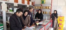 بازدید مشترک